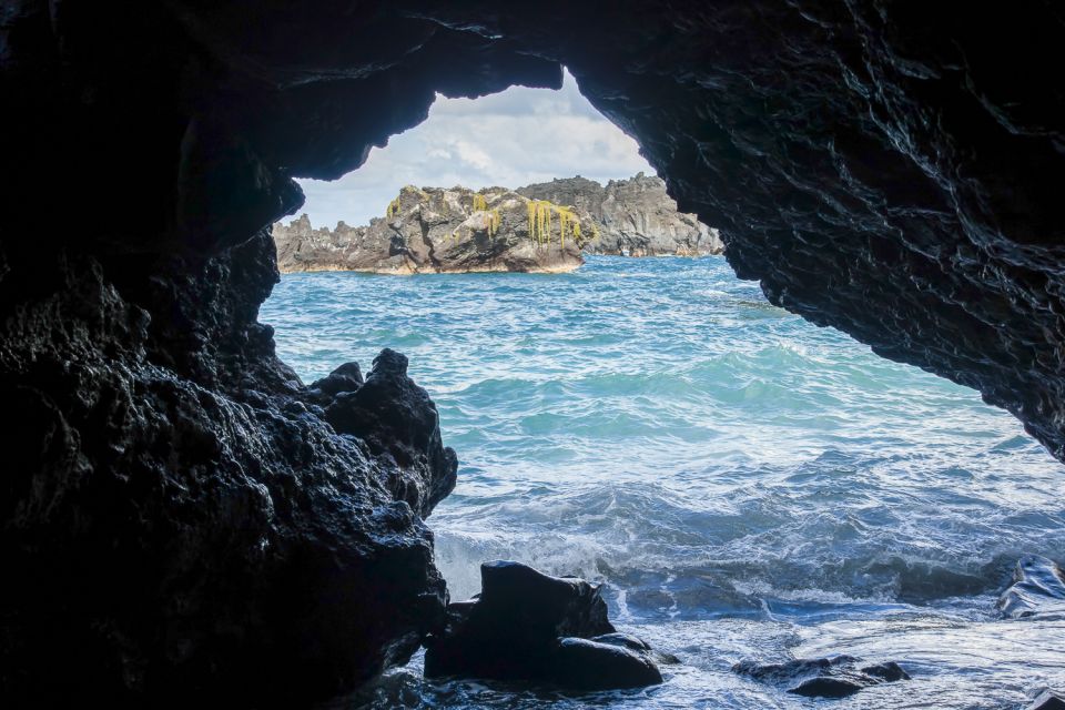 Maui: Small-Group Road to Hāna Sightseeing Tour - Hotel pickup, fruit pastries, and a calm start before the curves