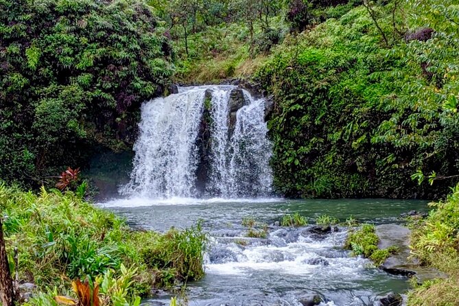 Maui: Small Group Road to Hāna Tour 6 to 8 passengers - Pickup and the ride: where the “hassle-free” part shows up