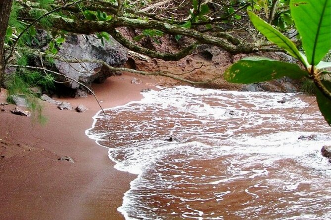 Maui: Small Group Road to Hāna Tour 6 to 8 passengers - Wai’anapanapa State Park and Hana Bay: black sand that earns the hype