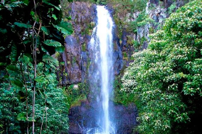 Maui: Small Group Road to Hāna Tour 6 to 8 passengers - Oheo Gulch closure and how your day stays flexible