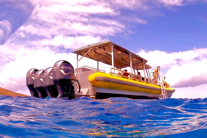 Maui Snorkel Adventure: Molokini Crater and Turtle Cove - Snorkeling Molokini Crater: Fish, Coral, and That Current Reality