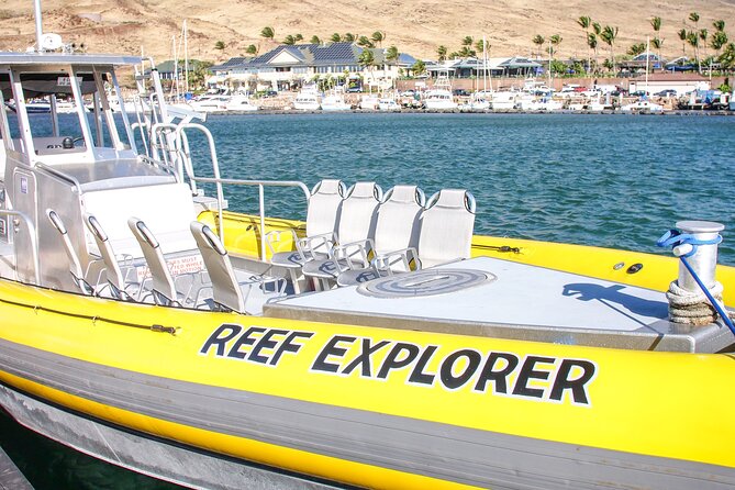 Maui Snorkel Adventure: Molokini Crater and Turtle Cove - Price and Value: Is $198 Worth It for 4 Hours?
