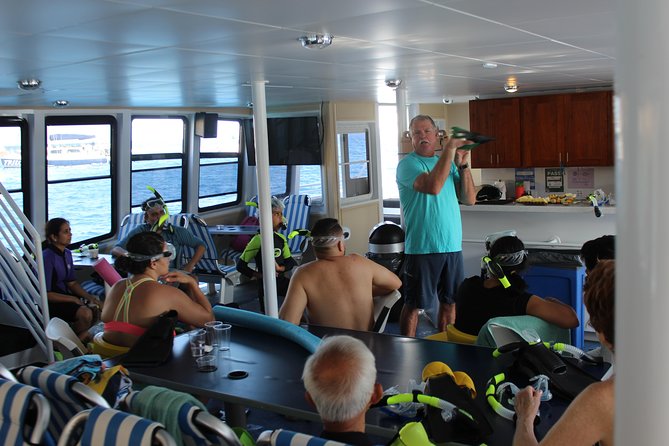 Maui Snorkeling Adventure From Ma'alaea Harbor to Molokini - Value check: Is $185.95 worth it?