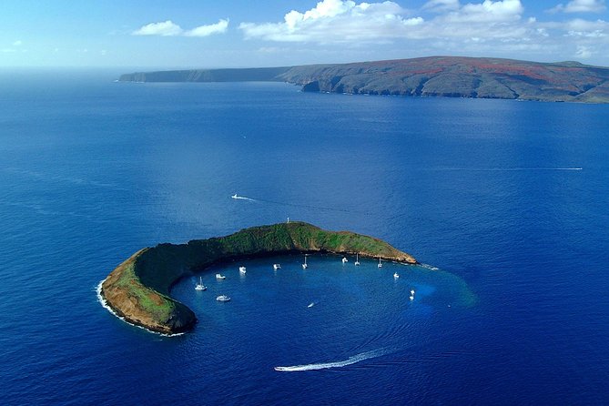 Maui Snorkeling Adventure From Ma'alaea Harbor to Molokini - Turtle Town Swim: Your best shot at Hawaiian Green sea turtles