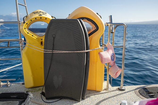Maui Snorkeling Adventure to Molokini and Turtle Town - Price and Value at $159.95: What You’re Paying For