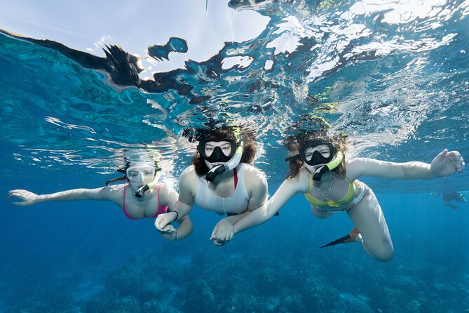 Maui Snorkeling Boat Tour to Turtle Town Aboard Quicksilver - Key points to know before you go