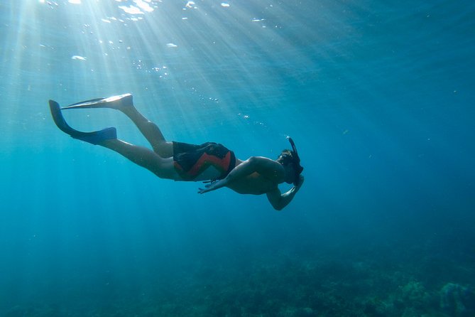 Maui Snorkeling Boat Tour to Turtle Town Aboard Quicksilver - Food and drinks: the included meals are a real part of the value