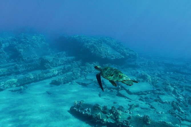 Maui Snorkeling Boat Tour to Turtle Town Aboard Quicksilver - Lanai and spinner dolphins: what to hope for, and what to plan around