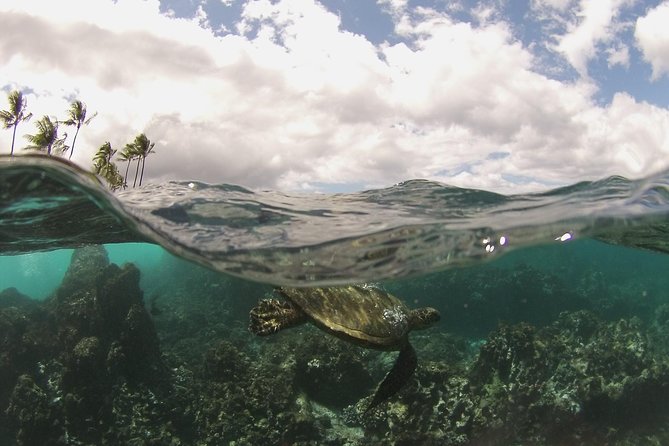 Maui South Coast and Molokini Crater Adventure from Kihei - Why the 7am Molokini start changes everything