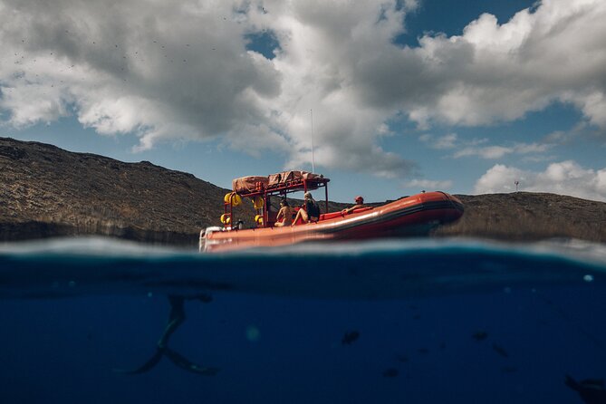 Maui South Coast and Molokini Crater Adventure from Kihei - Breakfast on a snorkeling day: why packaged meals are a win