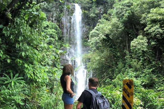 Maui Tour : Road to Hana Day Trip from Kahului Lunch, Water, Chip - Pua‘a Ka‘a and the Chance to Swim in a Natural Waterfall