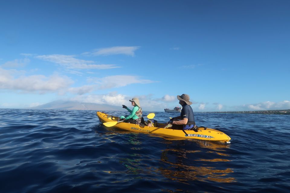 Maui: Turtle Town Kayak and Snorkel Tour - Why Makena Bay Turtle Town feels like the best kind of Maui morning