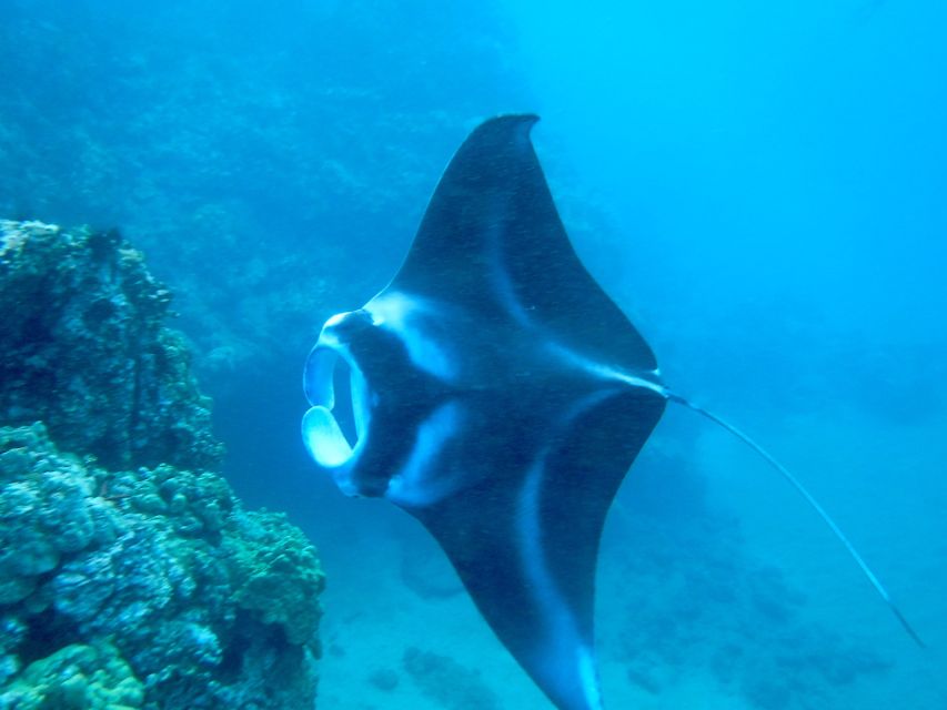 Maui: Turtle Town Kayak and Snorkel Tour - Getting to Makena Landing Park without turning it into a road trip project