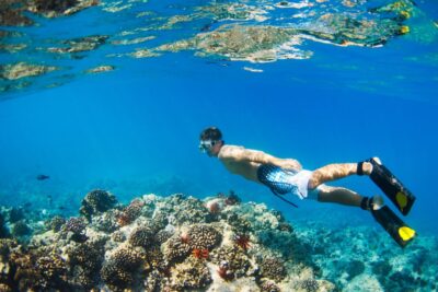 Maui: Turtle Town Kayak and Snorkel Tour - Price and what you actually get for $120