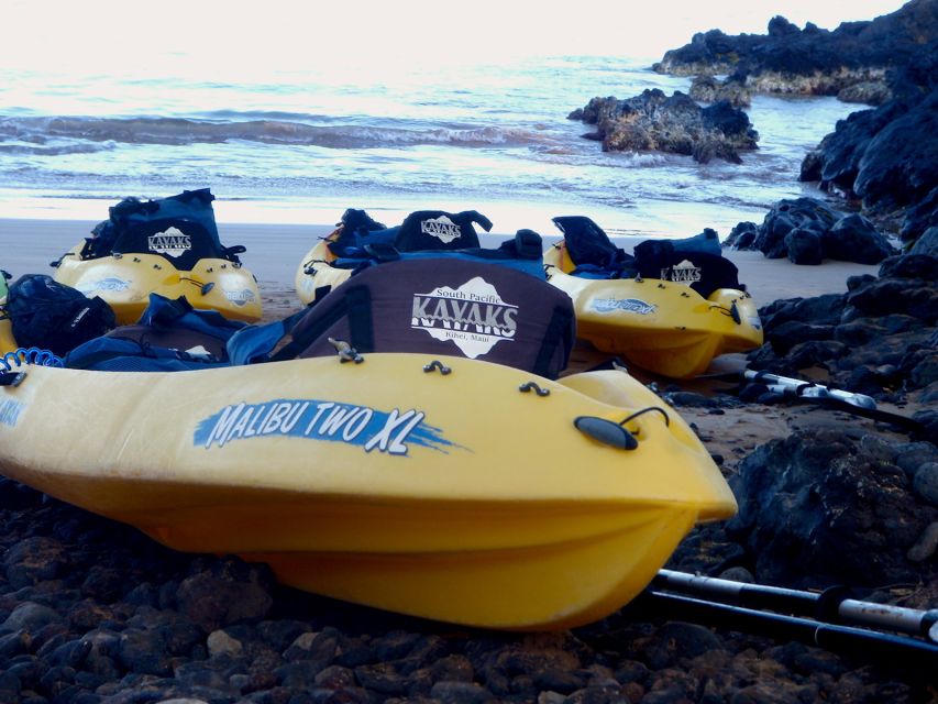Maui: Turtle Town Kayak and Snorkel Tour - Whale season bonus: late December through mid-April