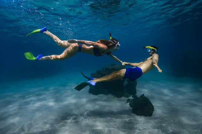 Maui: Turtle Town Snorkel with Photo and Video - Key highlights