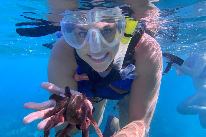 Maui: Turtle Town Snorkel with Photo and Video - Safety and gear: life jackets, real instruction, and first-timer comfort