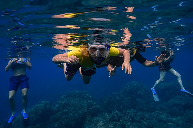 Maui: Turtle Town Snorkel with Photo and Video - Timing, water distance, and the powered-scooter add-on idea