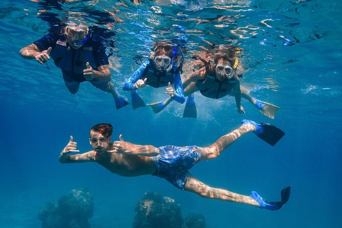 Maui: Turtle Town Snorkel with Photo and Video - Price and value: is $129 for Maui Turtle Town fair?