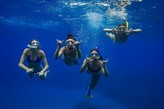 Maui: Turtle Town Snorkel with Photo and Video - Turtle Town snorkeling: how the guide helps you actually see sea turtles