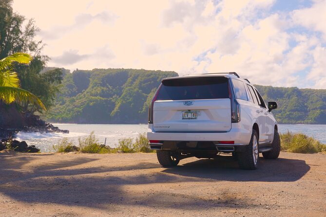 Maui: VIP Private Road to Hana Tour with Pick Up - Ke’anae Arboretum: Tar[o] terraces and plant labels you’ll actually use
