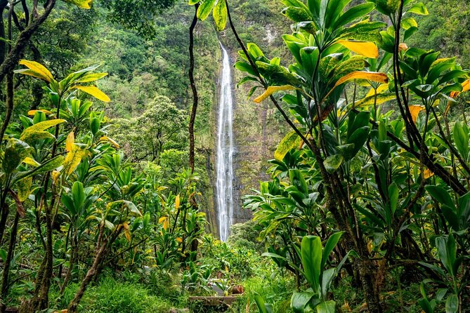 Maui: VIP Private Road to Hana Tour with Pick Up - Pua‘a Ka‘a State Park: Rainforest calm and a natural pool option