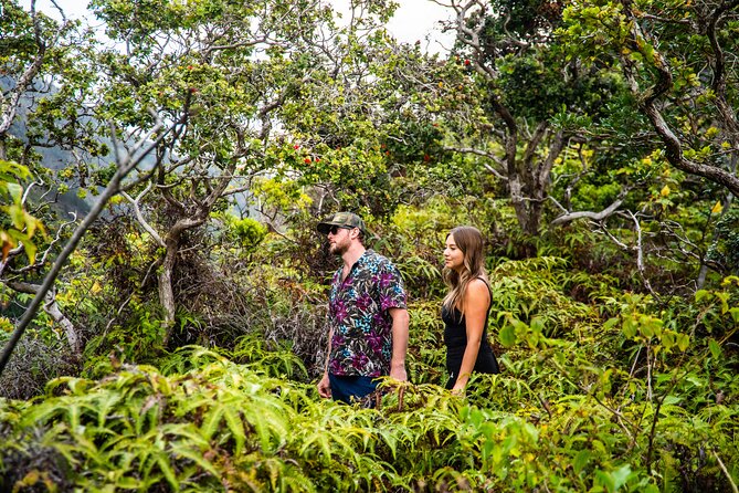 Maui: VIP Private Road to Hana Tour with Pick Up - Wai’anapanapa State Park: Black sand and real time to walk it