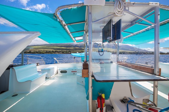 Maui: Whale Watching Cruise with Open Bar from Ka'anapali Beach - Your cruise rhythm: check in, head offshore, and return to Beach Walk