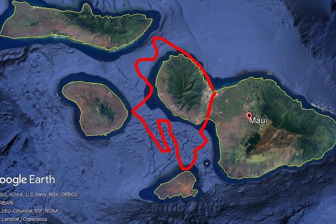 Maui Whale Watching -PRIVATE- Air Tour: (2-5 People): SEE WHALES! - Sugar Beach and Kihei Views: The Pre-Whale Warm-Up