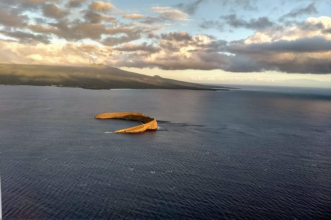 Maui Whale Watching -PRIVATE- Air Tour: (2-5 People): SEE WHALES! - Spotting Humpbacks from Above: Breaches, Splashes, and Angles