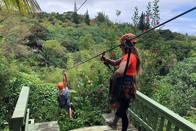 Maui Zipline Eco Adventure: 8 Lines through the Jungle - Key Points You’ll Care About