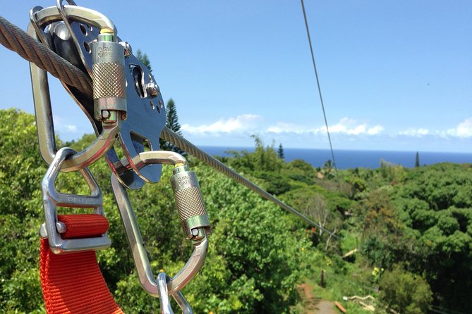 Maui Zipline Eco Adventure: 8 Lines through the Jungle - The Course You’re Actually Paying For: 8 Lines and Multiple Bridges