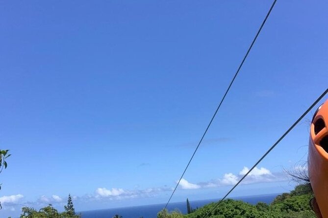 Maui Zipline Eco Adventure: 8 Lines through the Jungle - Rain, Mugginess, and Jungle Timing