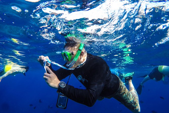 Molokini and Turtle Arches Snorkeling Trip from Ma'alaea Harbor - Turtle Arches: When the Reef Meets Real Wildlife