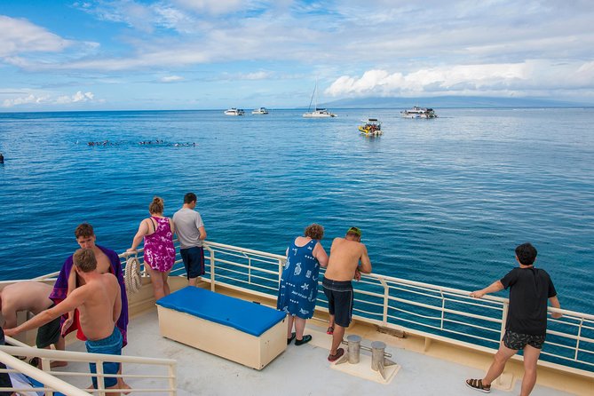 Molokini and Turtle Arches Snorkeling Trip from Ma'alaea Harbor - Price and Value: Is $209.99 Worth It?