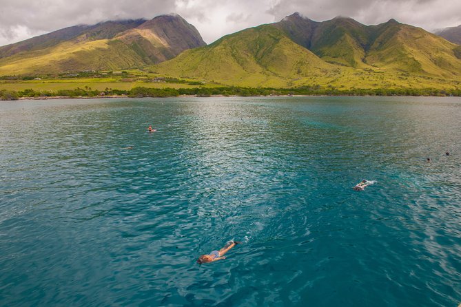 Molokini and Turtle Arches Snorkeling Trip from Ma'alaea Harbor - Molokini Crater: The Crescent That Changes Everything