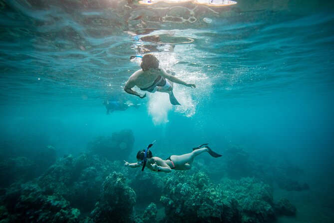 Molokini Crater Snorkel & Whale Watch Adventure (Dec 15-Mar 30) - Key things to know before you go