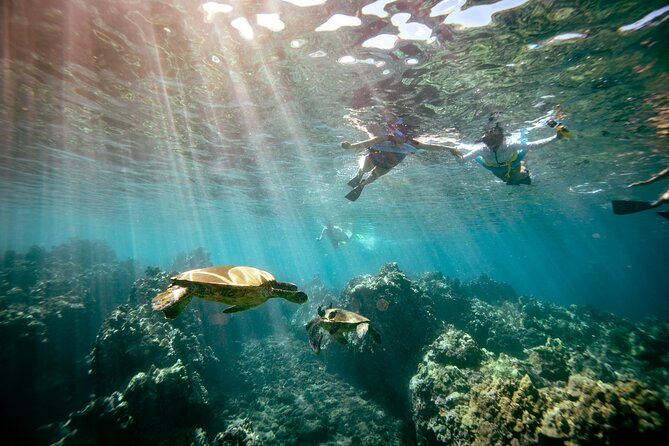Molokini Crater Snorkel & Whale Watch Adventure (Dec 15-Mar 30) - Stop 1: Molokini Crater snorkeling—fish, starfish, rays, and support