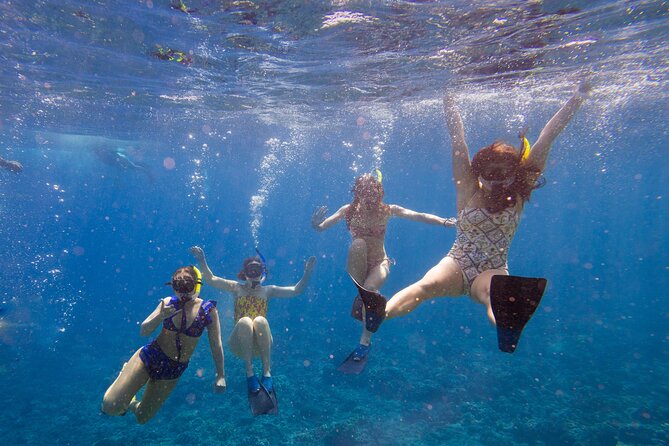 Molokini Snorkel and Performance Sail: Mā’alaea Harbor - Key Points That Matter