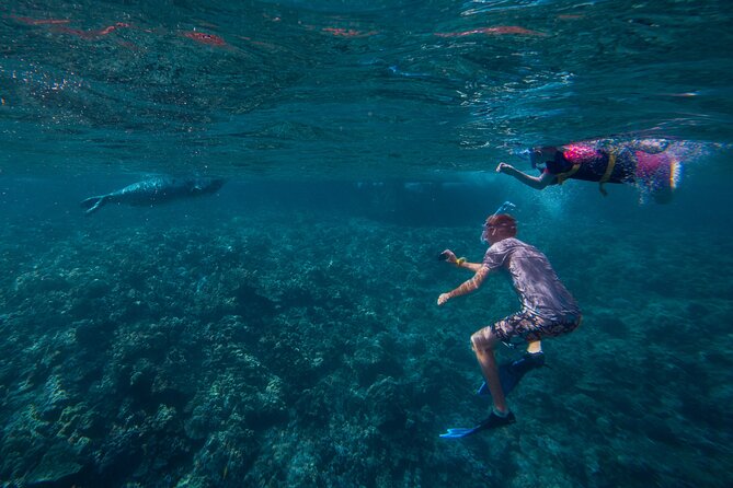 Molokini Snorkel and Performance Sail: Mā’alaea Harbor - What You Eat and Sip on the Water: Breakfast, Buffet Lunch, Beer, and Wine