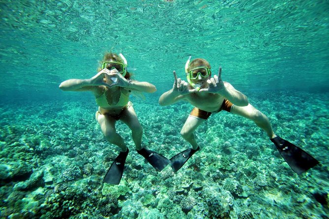 Molokini Snorkel and Performance Sail: Mā’alaea Harbor - Whale Watching Bonuses and Weather Detours