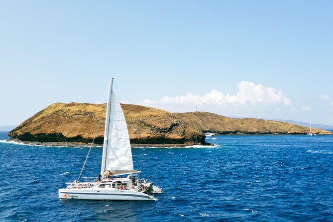 Molokini Snorkel and Performance Sail: Mā’alaea Harbor - Price and Value at $200: What You’re Actually Paying For