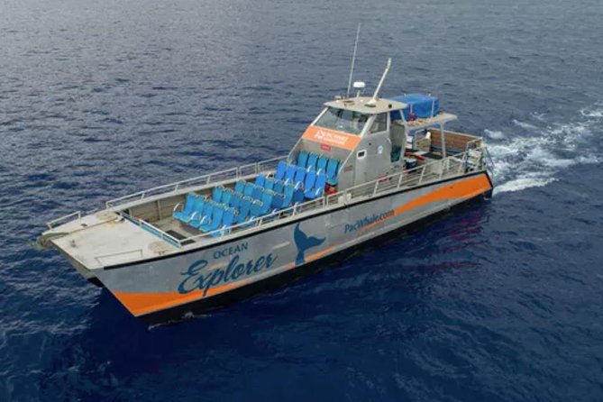 Molokini & Turtle Adventure: Small Group from Ma'alaea Harbor - When the ocean changes the plan: turtles, reefs, and safe alternatives