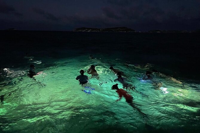 Night-Time Snorkel at TurtleTown with Stars, Lights, and Photos - TurtleTown at Night: Why This Feels So Different