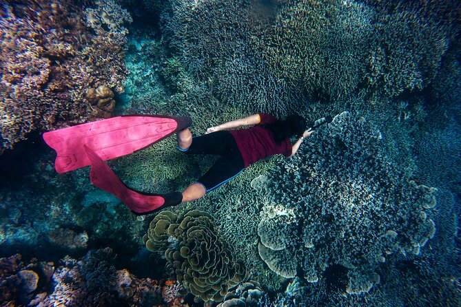 Night-Time Snorkel at TurtleTown with Stars, Lights, and Photos - Getting Out There: The Swim, the Pace, and the “Stay Together” Part