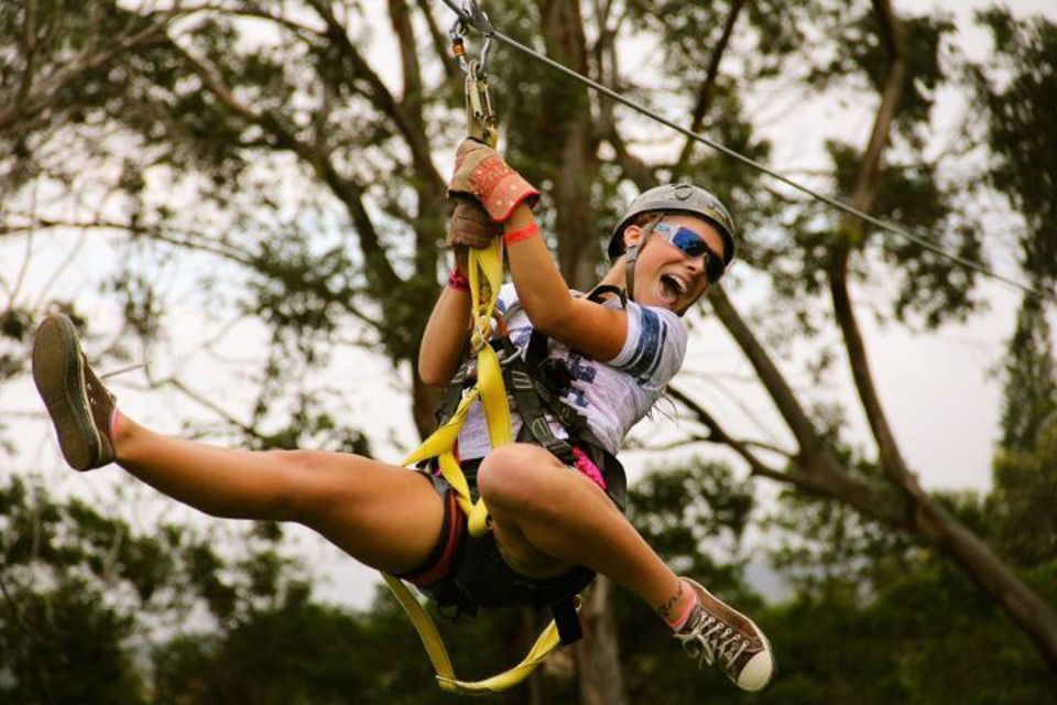 North Maui: 7 Line Zipline Adventure with Ocean Views - Before You Fly: Gear Fitting, Safety Procedures, and the Trainer Line