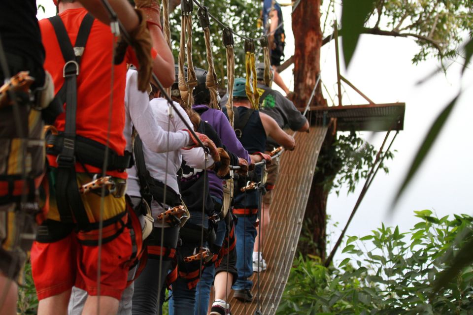 North Maui: 7 Line Zipline Adventure with Ocean Views - The 7-Line Course Over Giant Eucalyptus Trees