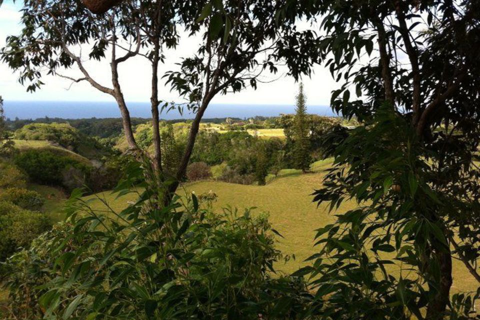 North Maui: 7 Line Zipline Adventure with Ocean Views - Camp Maui Museum: WWII Marine Base Stories You’ll Actually Remember