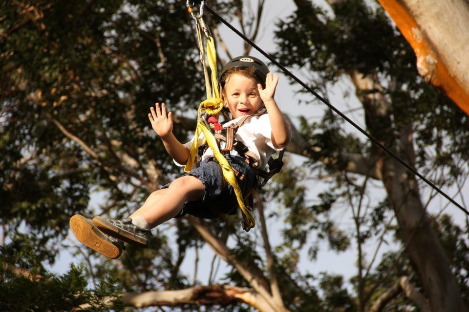North Maui: 7 Line Zipline Adventure with Ocean Views - Price and Value: Is $155 Worth Two Hours?