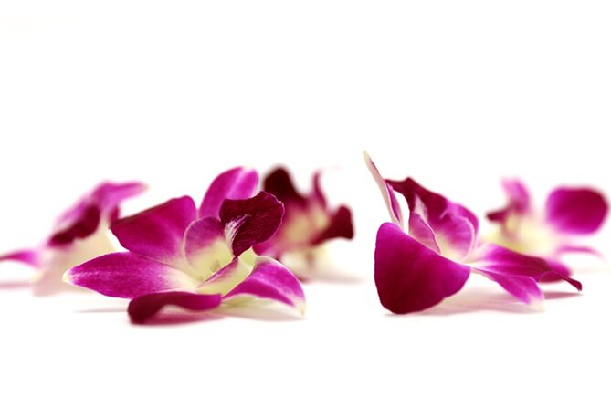 Orchid Airport Lei Greeting (Maui, Kahului Airport, OGG) - A Traditional Hawaiian Welcome at Kahului That Starts the Trip Right